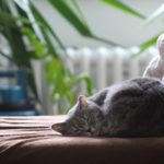 Intention setting in the new year